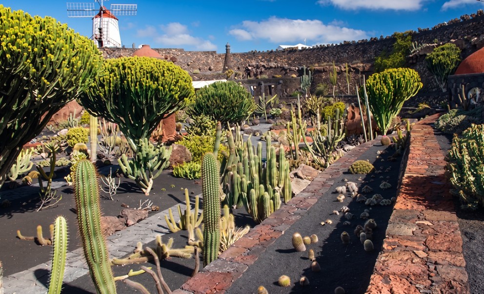 Excursión César Manrique 